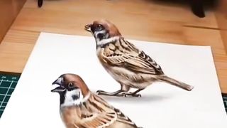 Best Creative Art