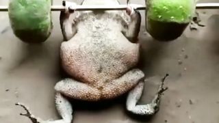 kabhi aisa body builder dekha hai ?