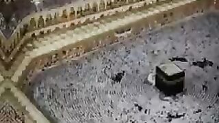 بہار کے انتظار میں
