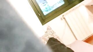 Cat funny Video ????