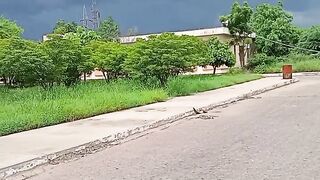 Beautiful weather Rain ????️