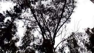 winter cool breeze