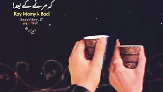 WhatsApp status