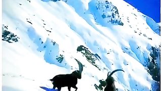 mera_dil_kahen_door_pahadon_main_kho_gya