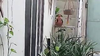 Birds plants