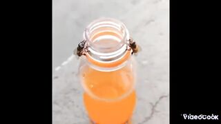 Funny videos