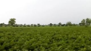 Butifull willay Multan punjab pakitan wather is butifull