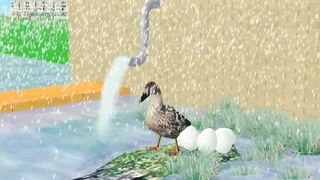 Colorful ducks