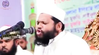 Qari Saeed ul Islam