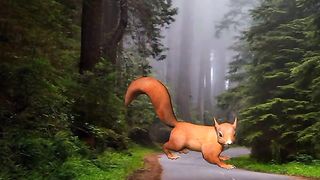 Animal cartoon story for kids