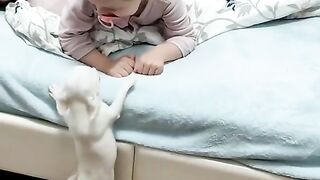 Funny videos from Tik Tok