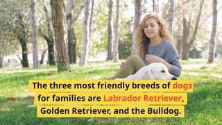 Most friendly dogs