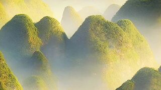 Beautiful view of nature 187