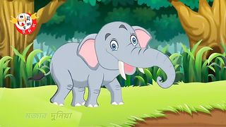 Eliphant story | Fairytale | Bangla cartoon | Mojar duniya | bangla golpo