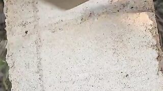 Accting Funny Video Sean Bildon TV ????