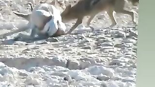 Im cry when I see this video