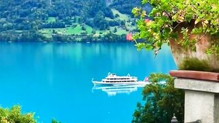 Beautiful view of nature 194