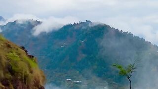 Beautiful view of nature 195