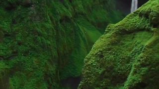 Beautiful nature| beautiful place