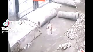 Very funny ???????? video