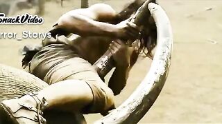 Jungle movie action