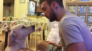 Adorably Guilty Pooch Tries To Apologize For Poor Behavior