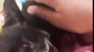 Rescued kittens ♥️