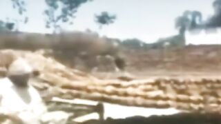 Funny video and comedy short video