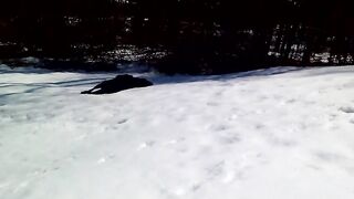 Black Labrador Cannot Get Enough Of Body Sliding In The Snow