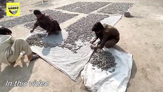 How Candle Fireworks are made? || best way to make money