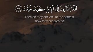 QURAN MAJEED Tilawat