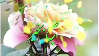 Morning WhatsApp Status