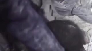 Turkey ????????????????