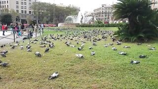 Placa Catalunya, Barcelona
