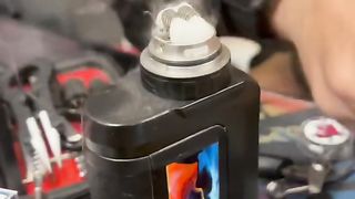 Gaur21+fat rabbit+ demon sub zero coils