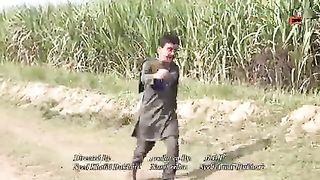 Numberder Panjabi video