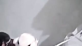 دنیا کے پرندے