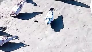 کبوتر
