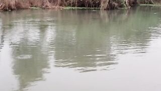 Look at the fish
