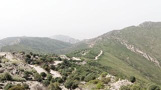 shikhbaddin top