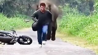 Elephant Running to man
