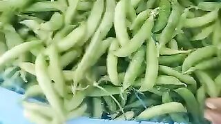 Okara SabZi Mandi matter ki boli ki