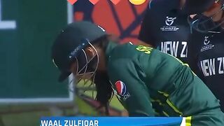 Cricket fans
