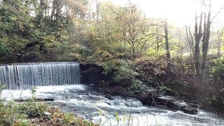 Waterfall at Forest Park