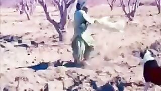 Funny video dog and man