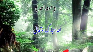 Hadith Shareef|Hadees Mubarak| Islamic video in Urdu