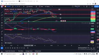 BTC Update Today |