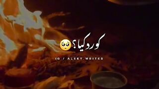 capcut#trending#viral#tiktok#youtube#shorts#febspot#oneline#animals#birds#viraltemplates