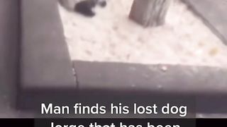 Man found his lost dog for a year