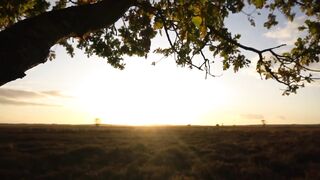 Beautiful Nature Scenery Relaxing Peaceful Soothing Music | Bird, Water Sound